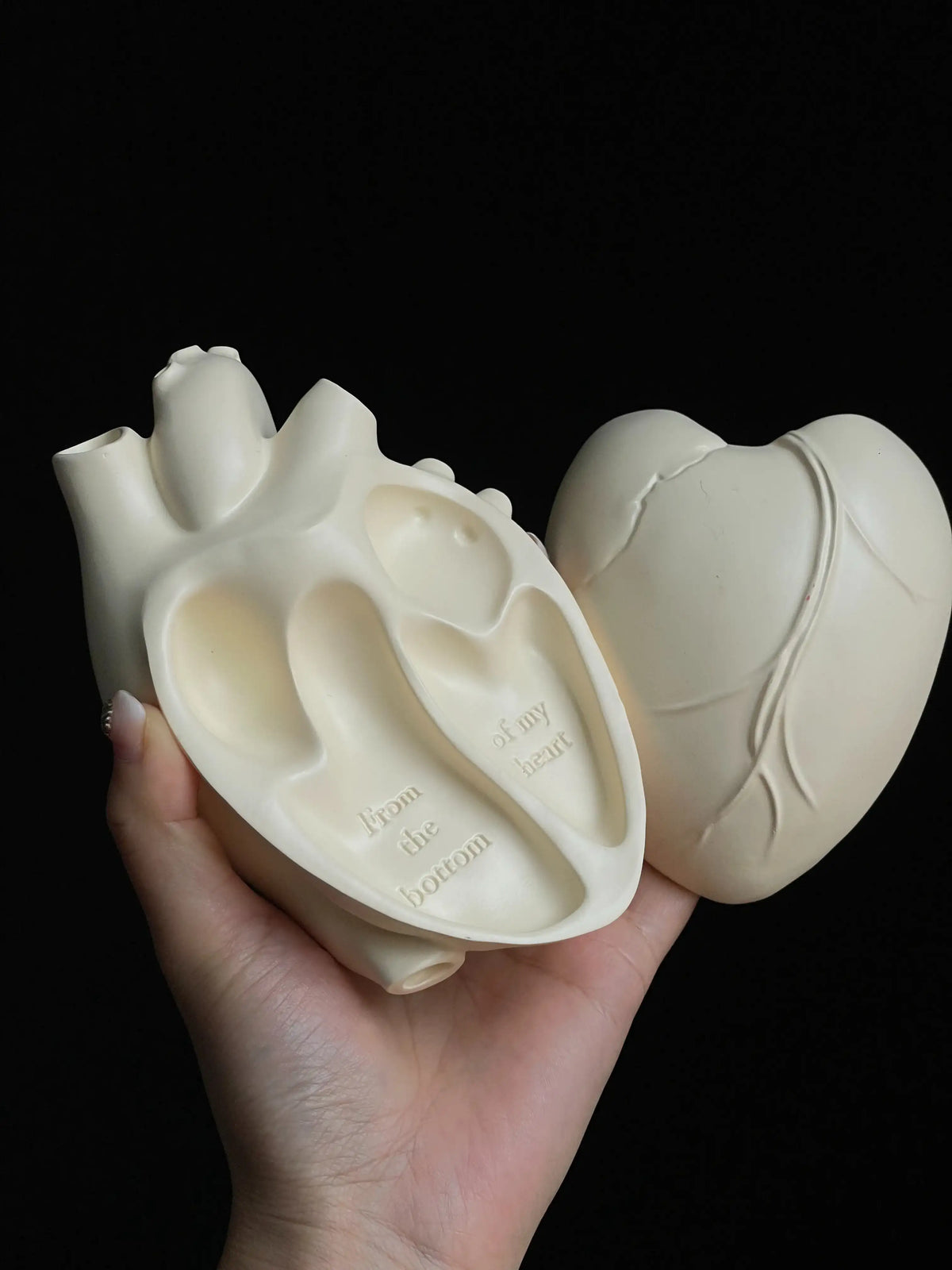 A hand holding a Vintage Heart Trinket Box and sculpted anatomical heart decorative piece.