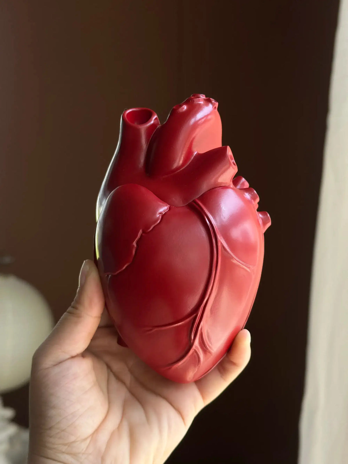 Vintage Heart Trinket Box held in hand, detailed anatomical heart design in red color.