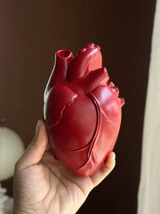 Vintage Heart Trinket Box held in hand, detailed anatomical heart design in red color.